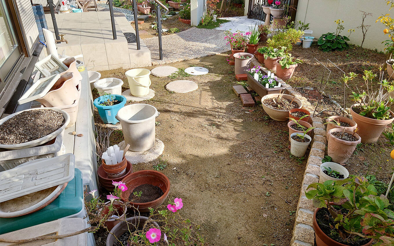 外構工事 ガーデニング・植栽 施工前写真