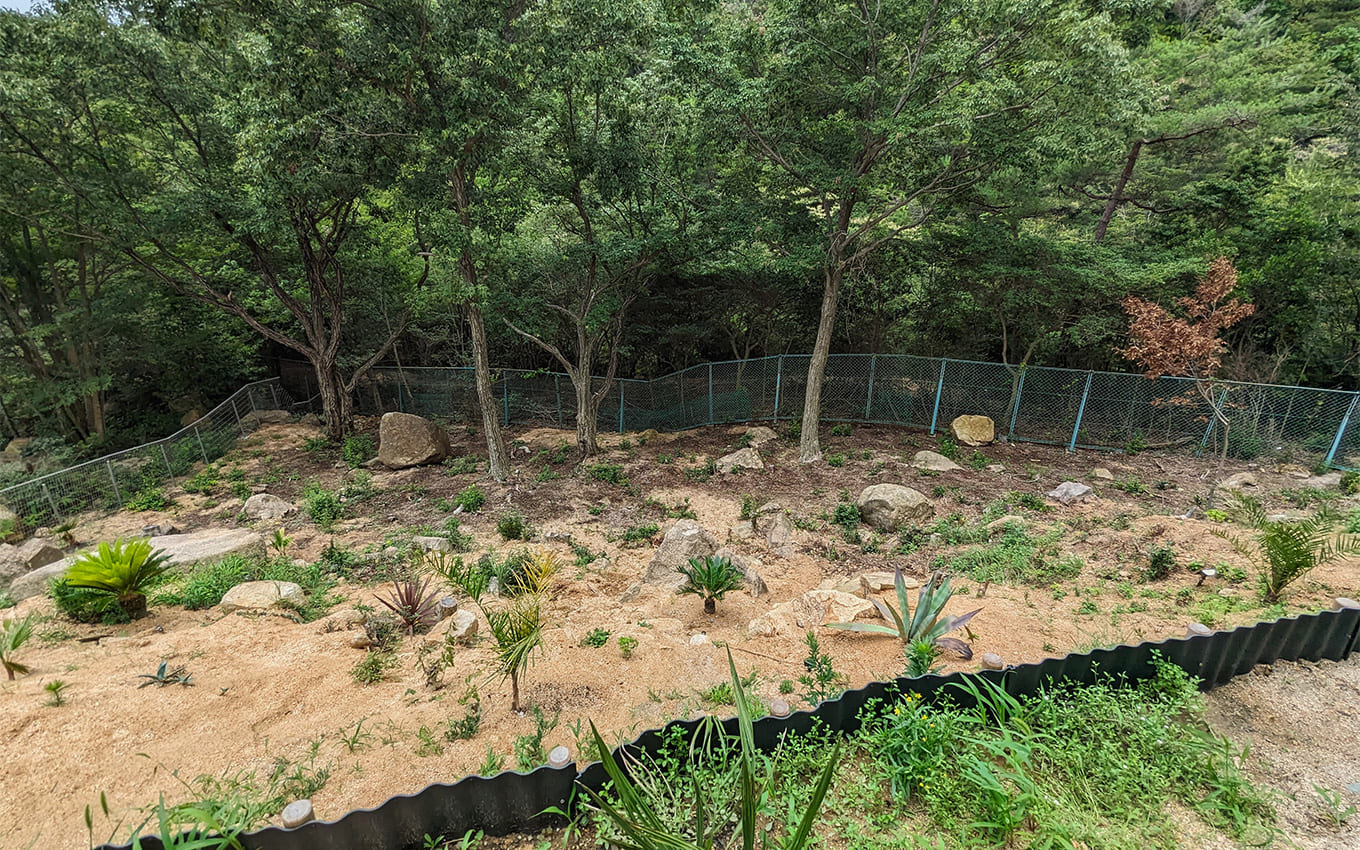 外構工事 斜面・法面活用 施工前写真