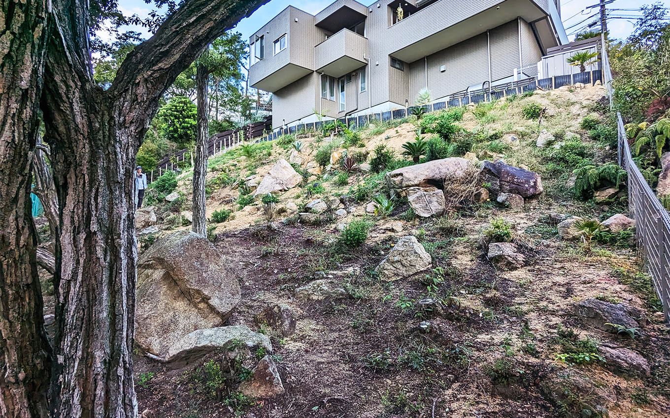 外構工事 斜面・法面活用 施工前写真