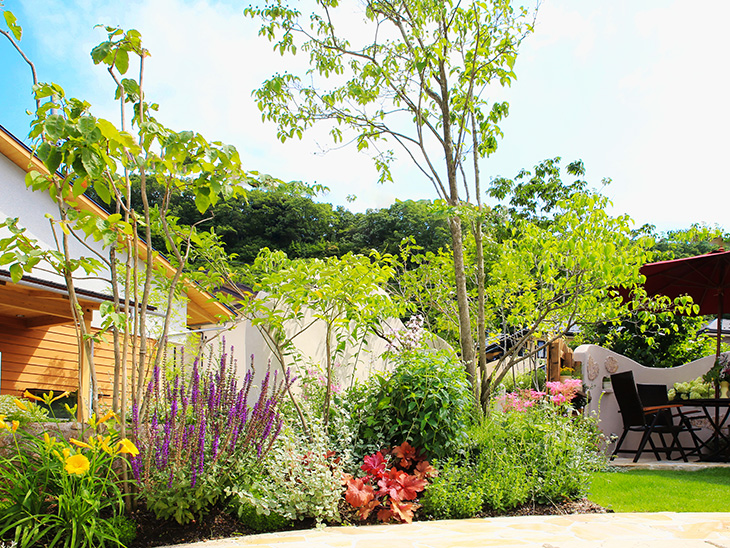 高木 中低木 グランドカバーの絶妙なコンビネーションが光るお庭 K様邸 No G014 外構工事 施工例を見る 兵庫県 匠の外構工事 ガーデニング エクステリア 神戸 西宮 宝塚 三田のフィーリングガーデン 坂林盛樹園