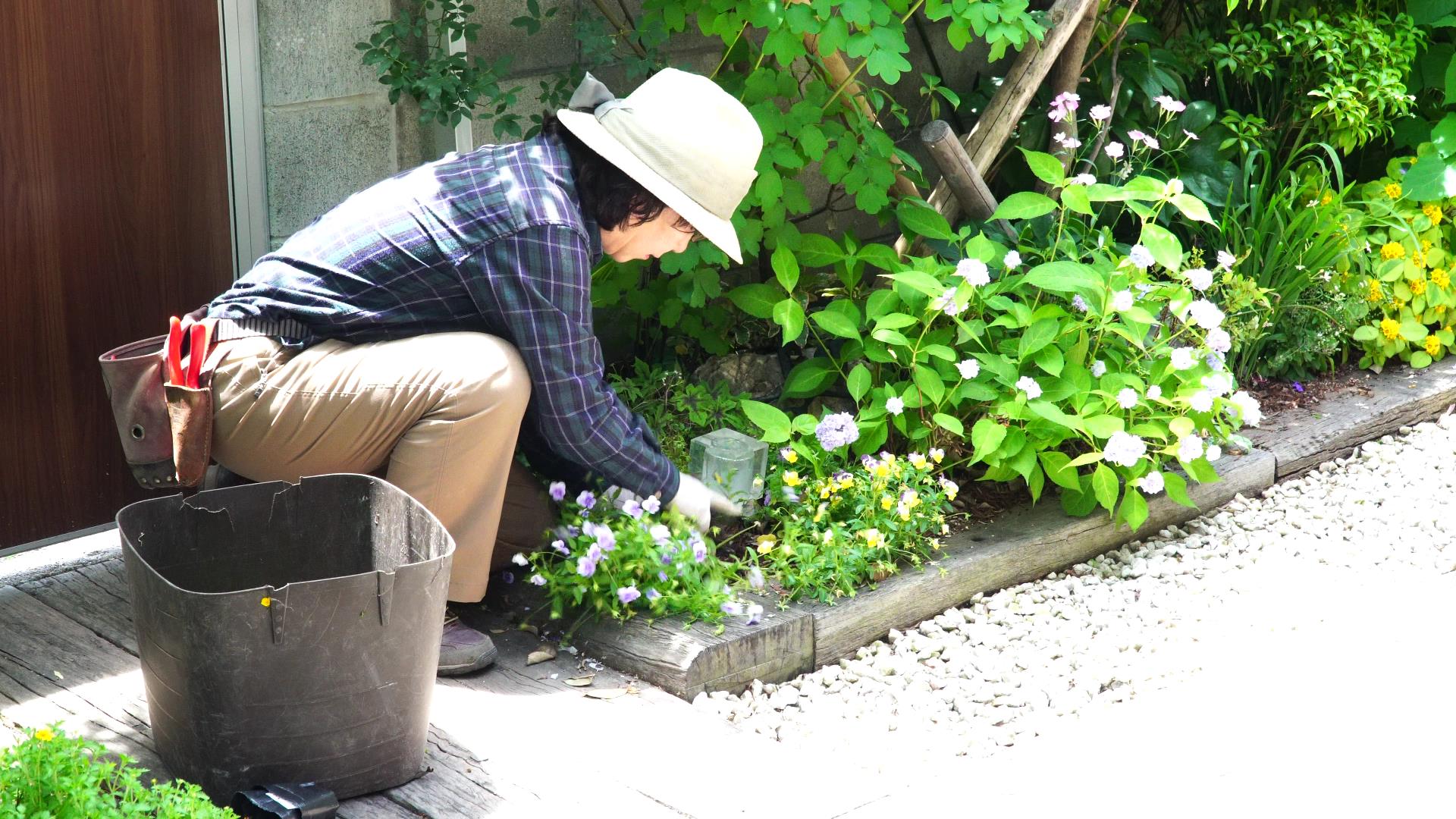 外構工事 動画 【植栽管理】梅雨前にやっておきたい『下草類』のお手入れ