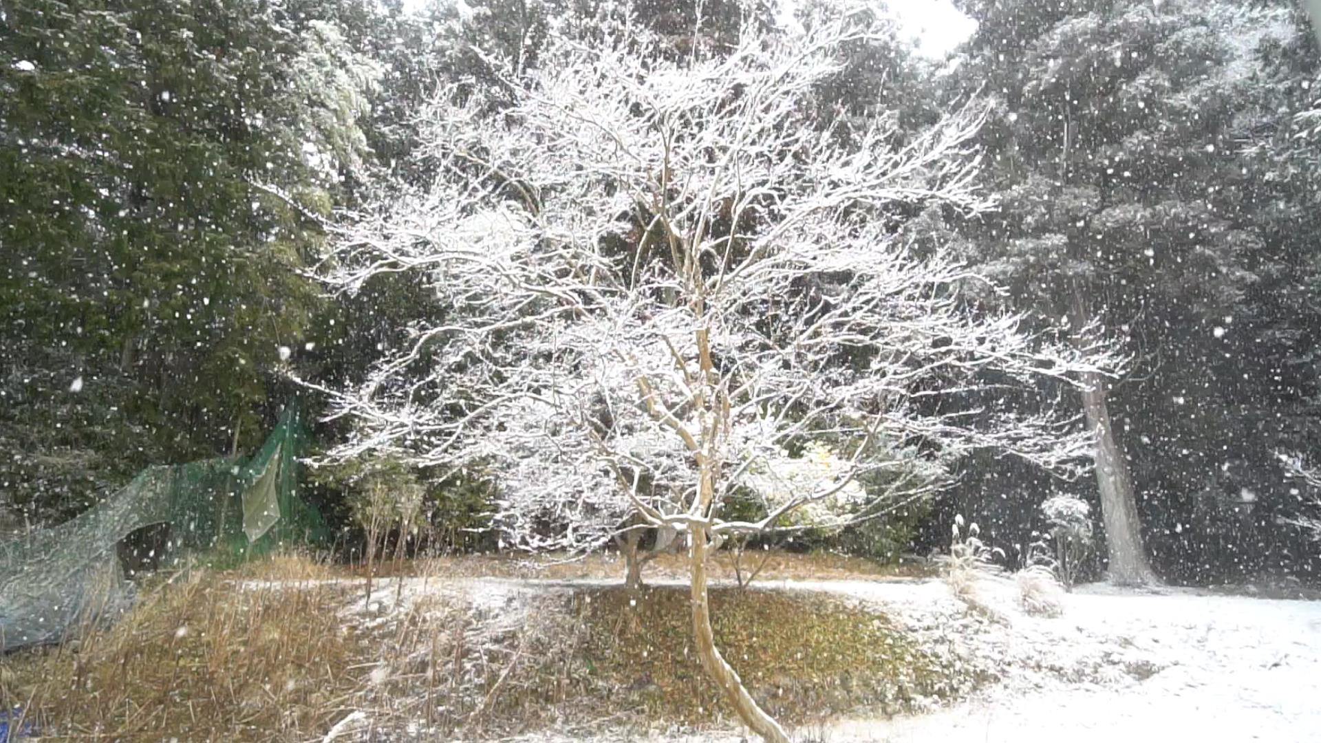 外構工事 動画 積雪時は冬タイヤでお越しください