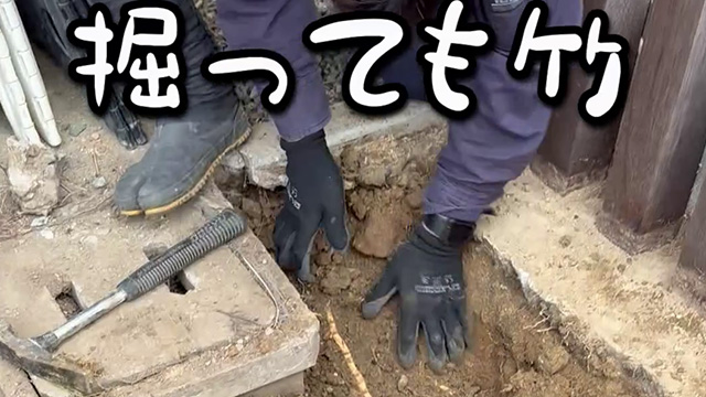 外構工事 動画 【外構職人の日常20】掘っても掘っても竹