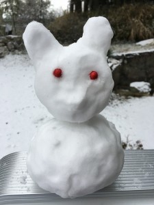 ｷﾓ雪だるま (1)