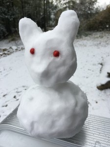 ｷﾓ雪だるま (2)