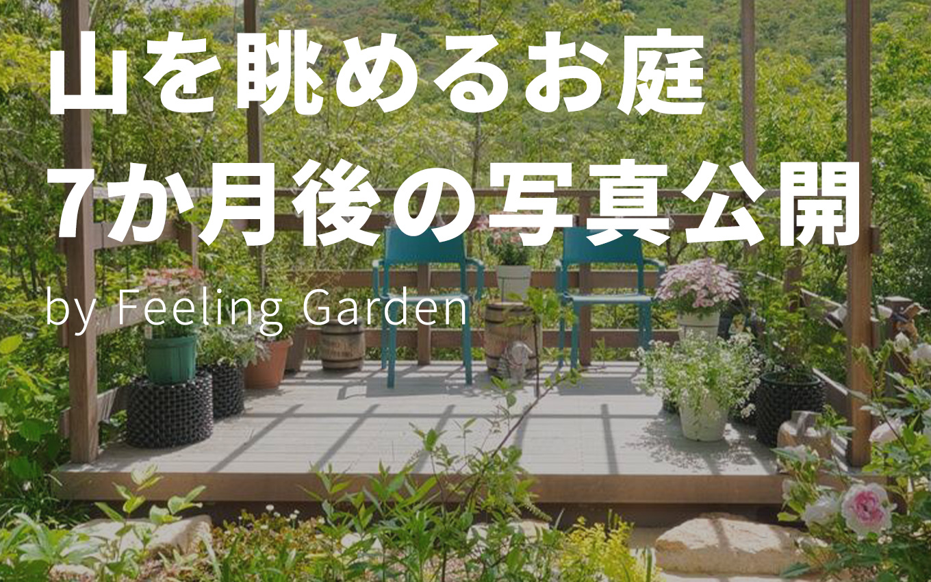 外構工事 フィーリングガーデン お知らせ　写真