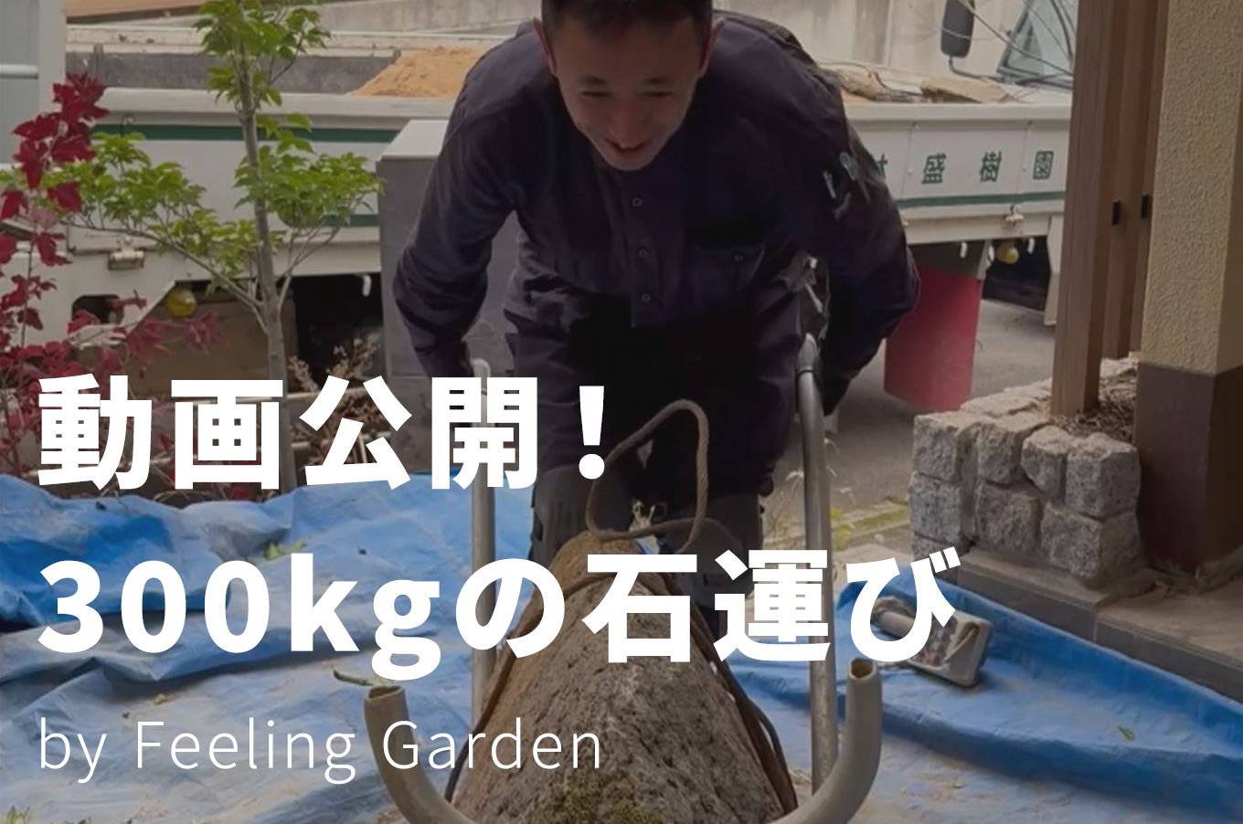 外構工事 フィーリングガーデンの新着情報